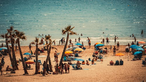 Fotobanka s bezplatnými fotkami na tému more, morský breh, návštevníci pláží