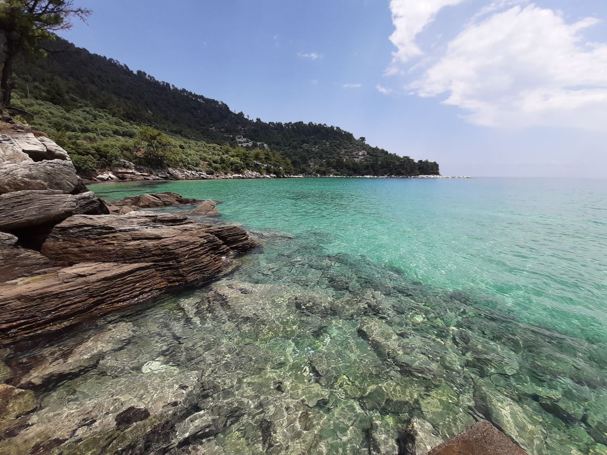 Coasta cu pini verzi pana in apa, apa turcoaz transparenta si stanci stratificate