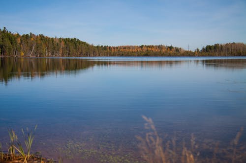 Immagine gratuita di acqua calma, corpo d'acqua, fotografia della natura