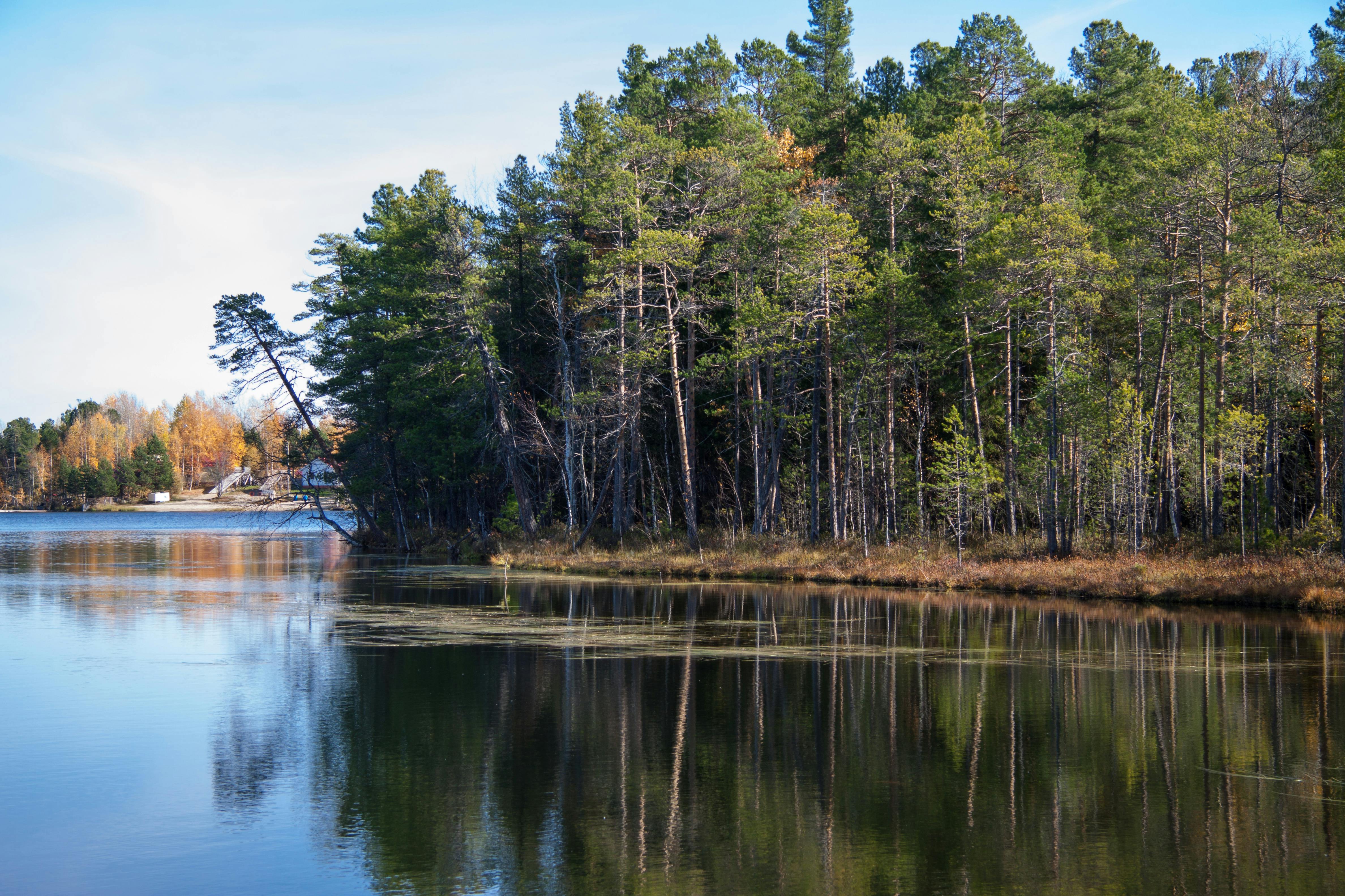 Central Lake family devastated by foundation collapse, insurance denies coverage — Photo by Aleksandr Unikovskiy on Pexels