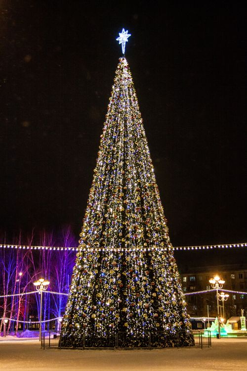 Free Majestic Christmas tree in a night setting, fully decorated and illuminated with string lights. Stock Photo