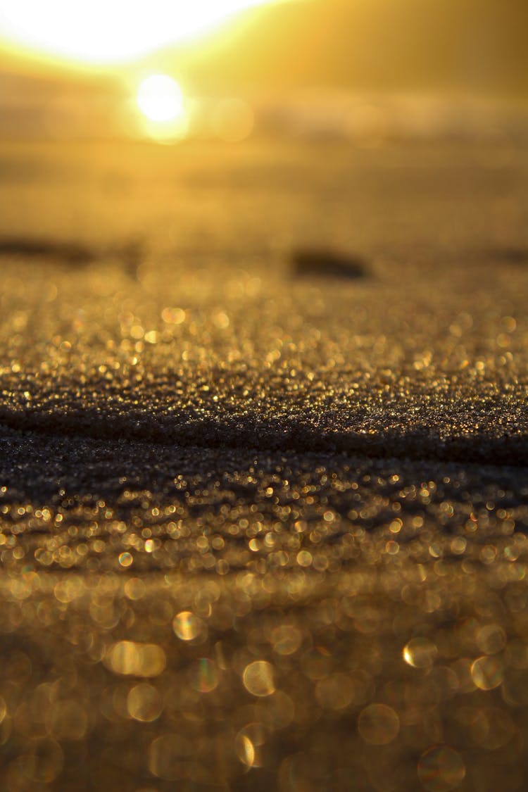 Close Up Of The Ground After Rain