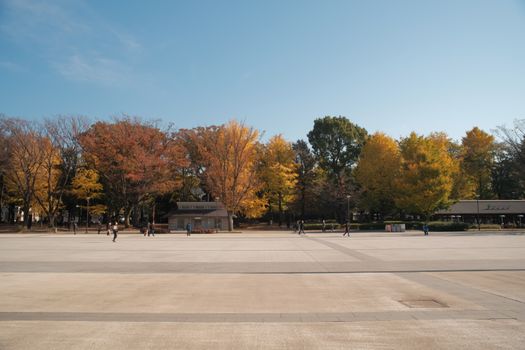Wide open park with autumn foliage and people strolling under a clear blue sky.