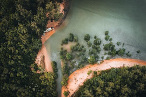 Fotos de stock gratuitas de árboles verdes, barca, cuerpo de agua