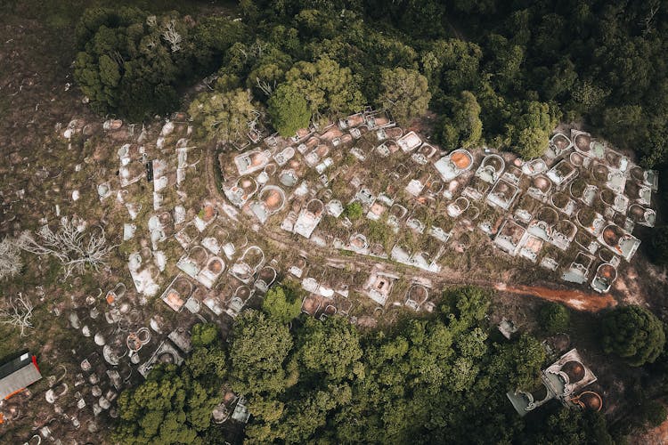 Houses In Wild Forest Landscape