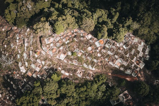 Drone shot capturing an overgrown cemetery surrounded by lush forest in summer.