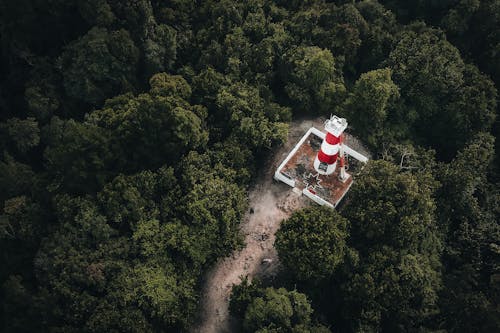An Aerial Photography of a Lighthouse Between Green Trees