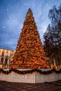 Wooden Fence Surrounding a Big Christmas Tree