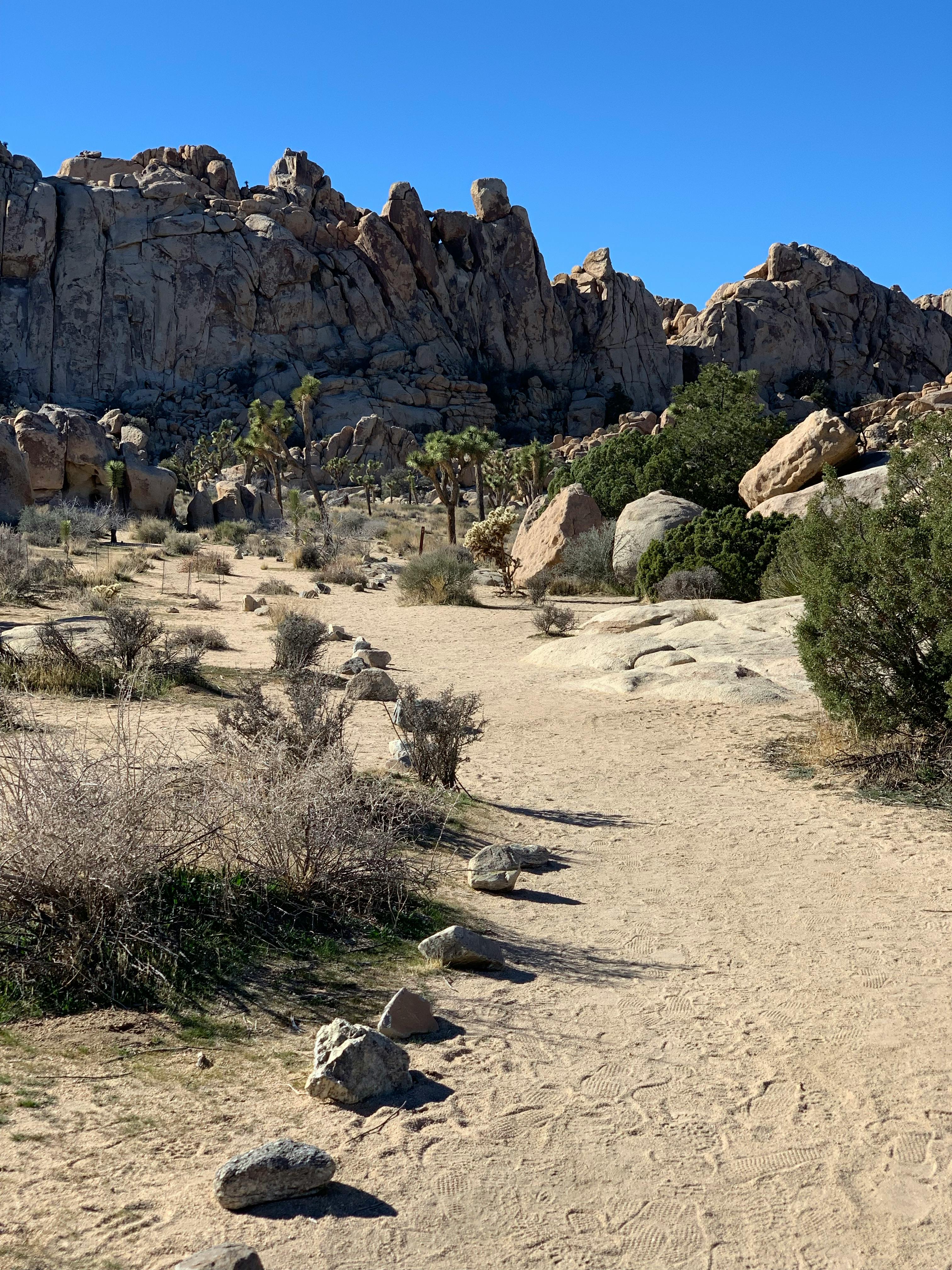 Collection of silver idols