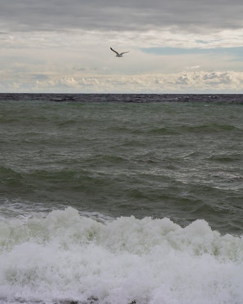 Free bulutlar, dalgalar, deniz içeren Ücretsiz stok fotoğraf Stock Photo