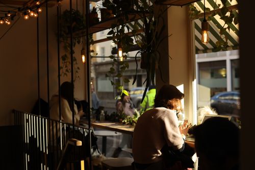 Free A cozy urban café interior featuring plants and sunlight, ideal for relaxation. Stock Photo