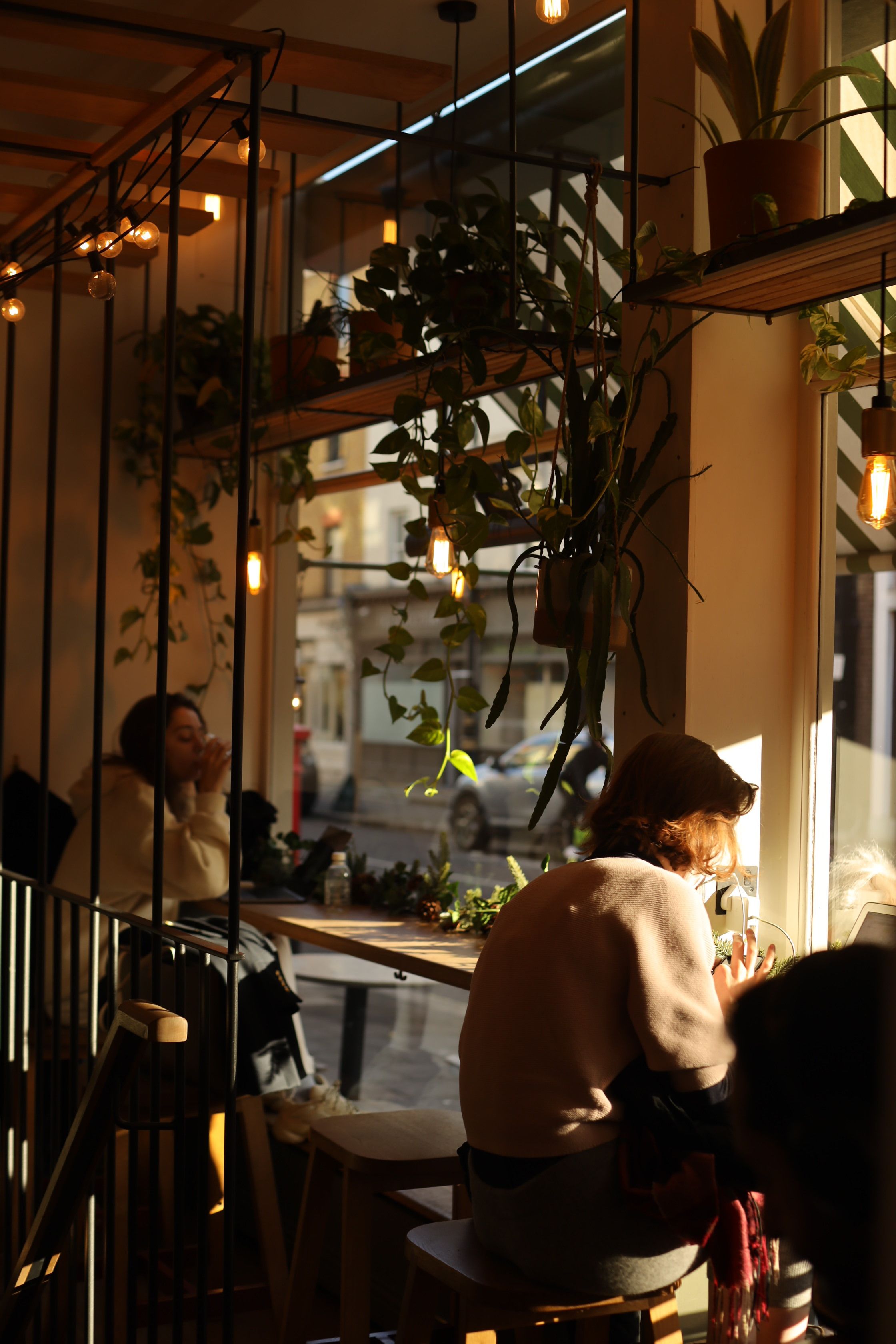 Warm and relaxing café scene with patrons enjoying the ambiance and hanging plants.