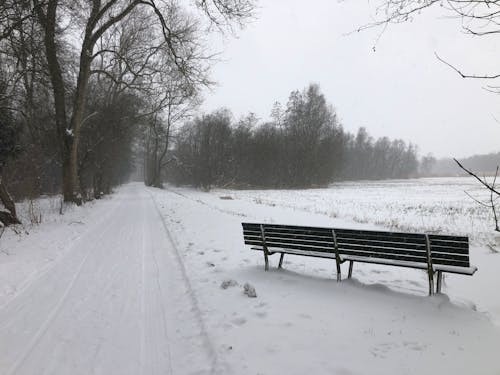 Free stock photo of bench, snow