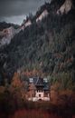 Brown Wooden House Near Green Trees and Mountain