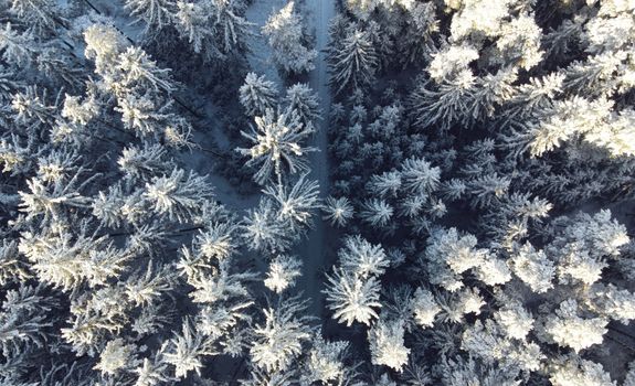 A stunning aerial view of a snow-covered forest in Oberviechtach, Germany, showcasing winter's beauty.
