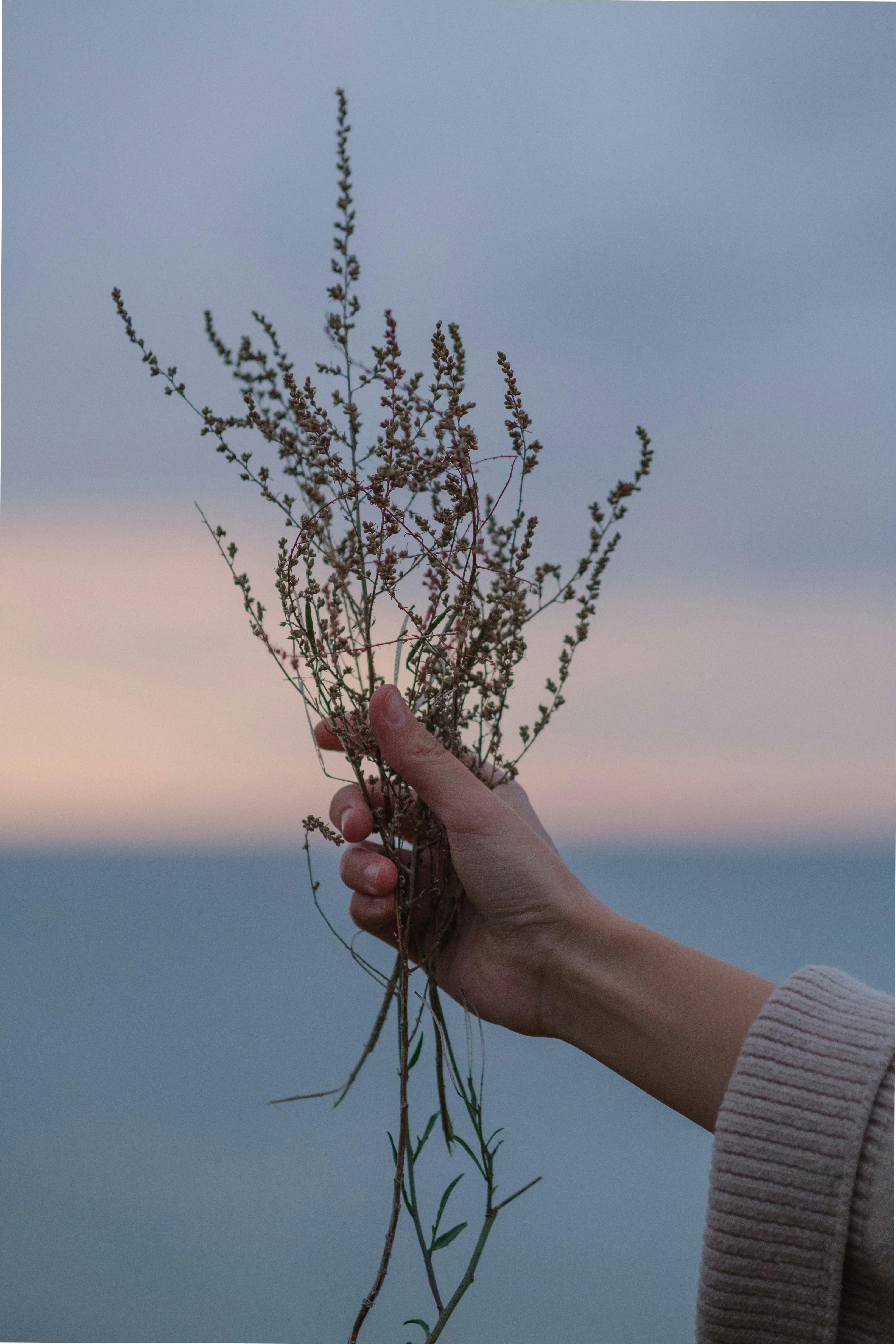 Two Person Hold Hands · Free Stock Photo