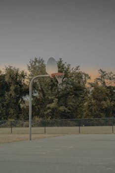 Solitary basketball hoop on an outdoor court at dusk, surrounded by trees.