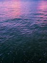 平静的海面，水中反射出充满活力的粉红色和紫色色调