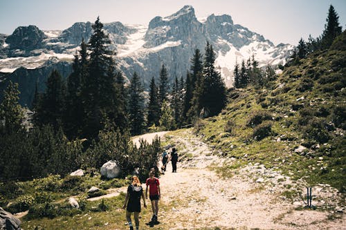 People Walking on a Mountain with Green Trees Near a Snow Covered Mountain