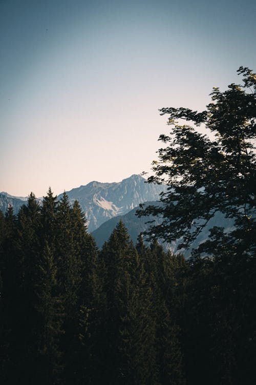 dağlar, dikey atış, doğa içeren Ücretsiz stok fotoğraf