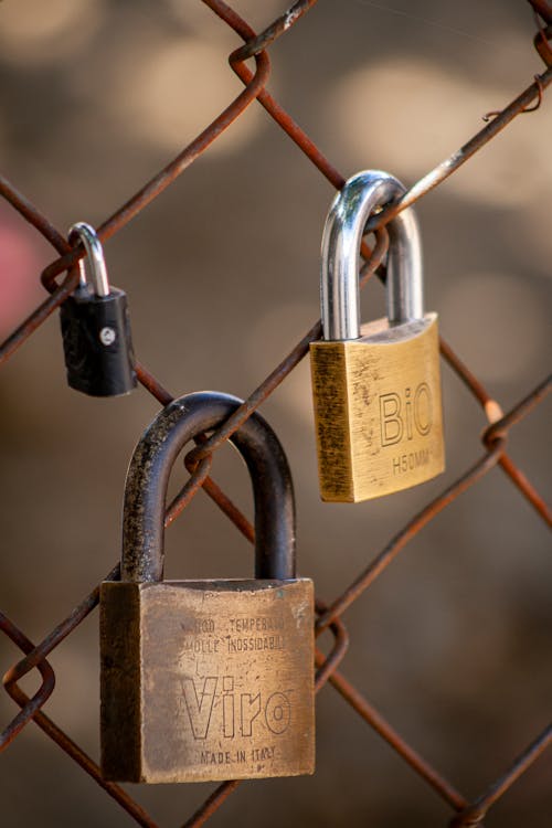 Padlocks on a Chain Link Fence