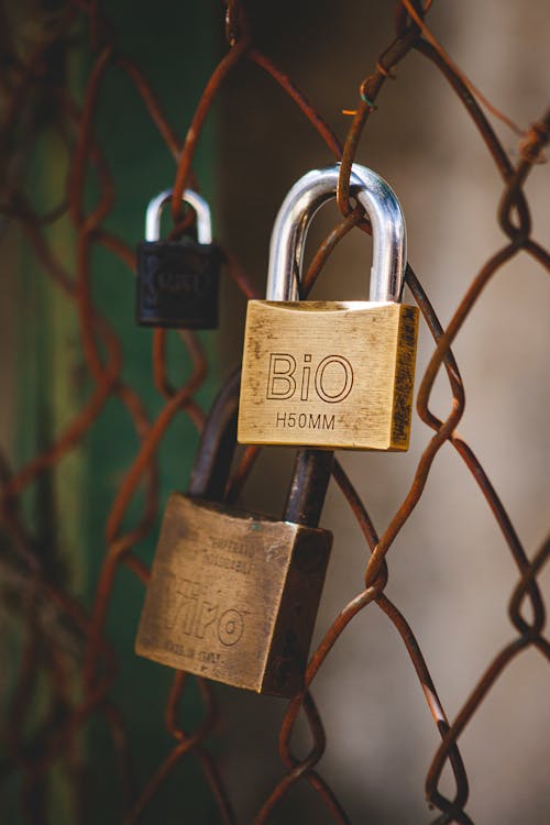 Padlocks Hanging on Rusty Chain Link Fence