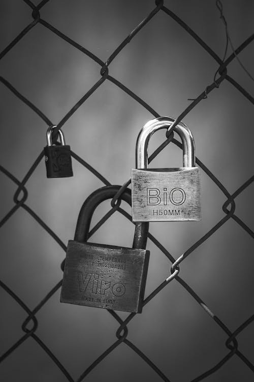 Small and Large Padlocks on Chain Link Fence