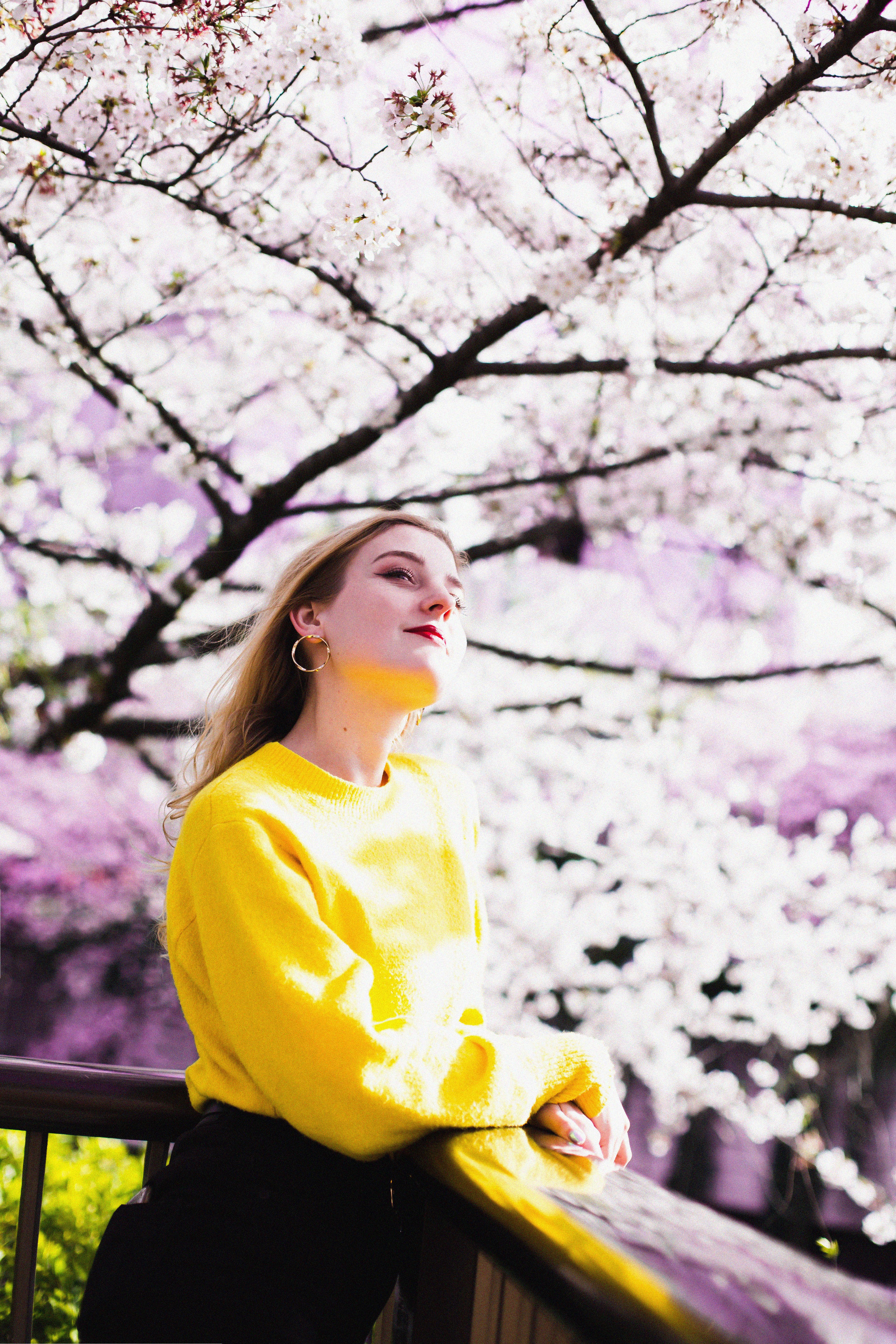 Girl Standing under the Cherry Blossom Tree · Free Stock Photo