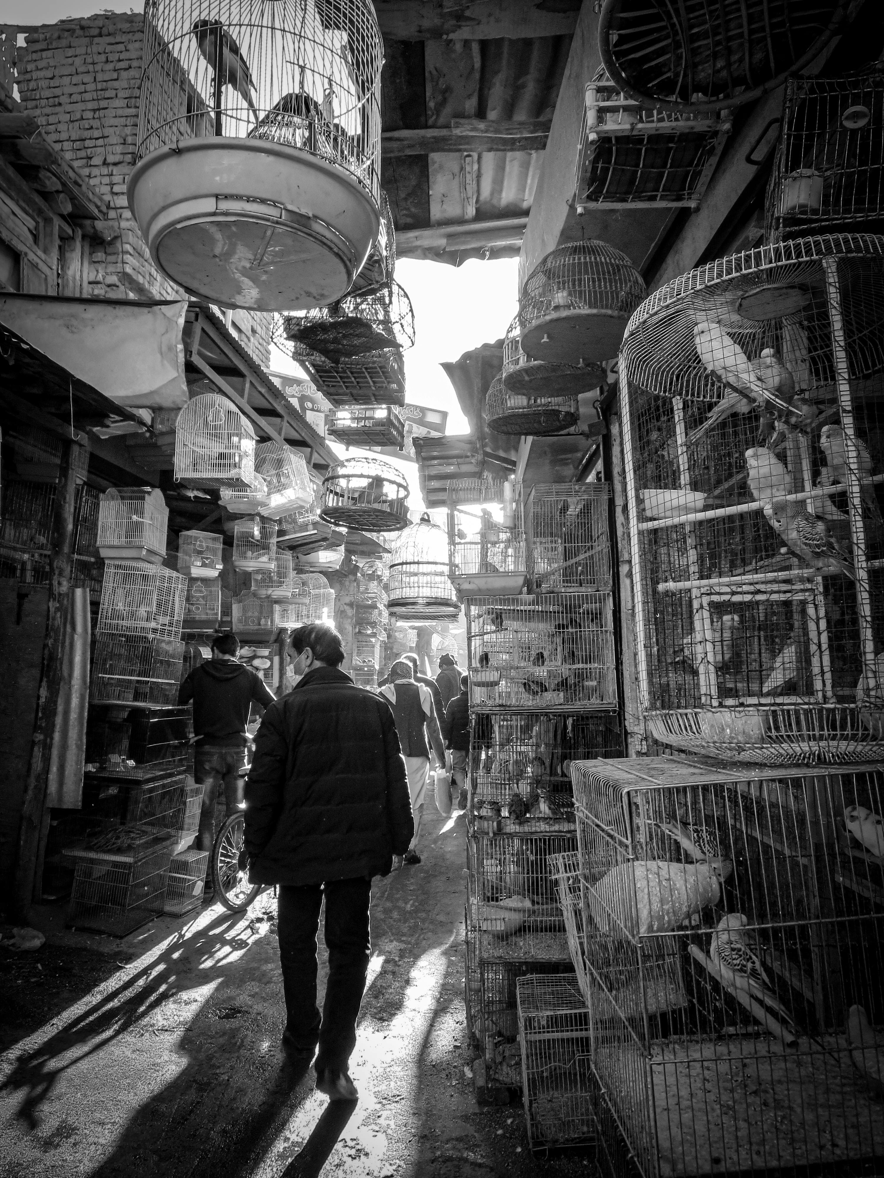 People in the Bird Market in Kabul, Afghanistan · Free Stock Photo