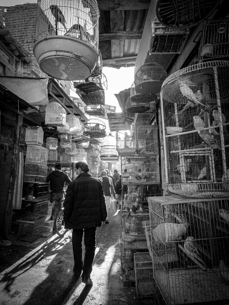 People In The Bird Market In Kabul, Afghanistan