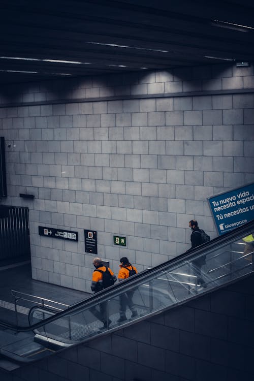 Ingyenes stockfotó alagsor, beltéri, betonszerkezet témában