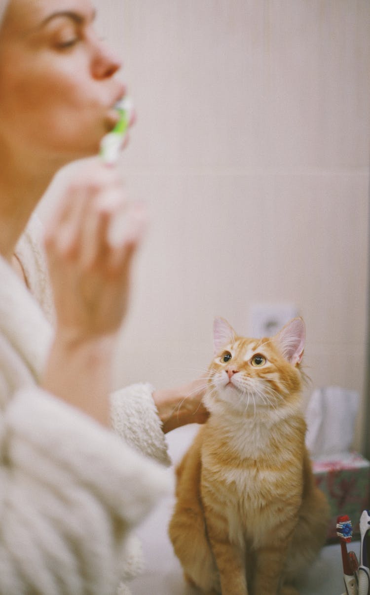 Woman Brushing Teeth With Cat