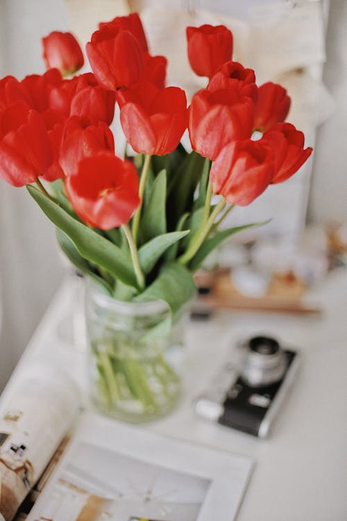 Kostenloses Stock Foto zu blumen, buch, glas