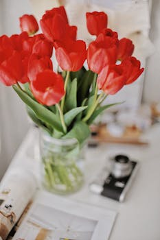 Bright red tulips in a glass vase on a desk with a vintage camera.