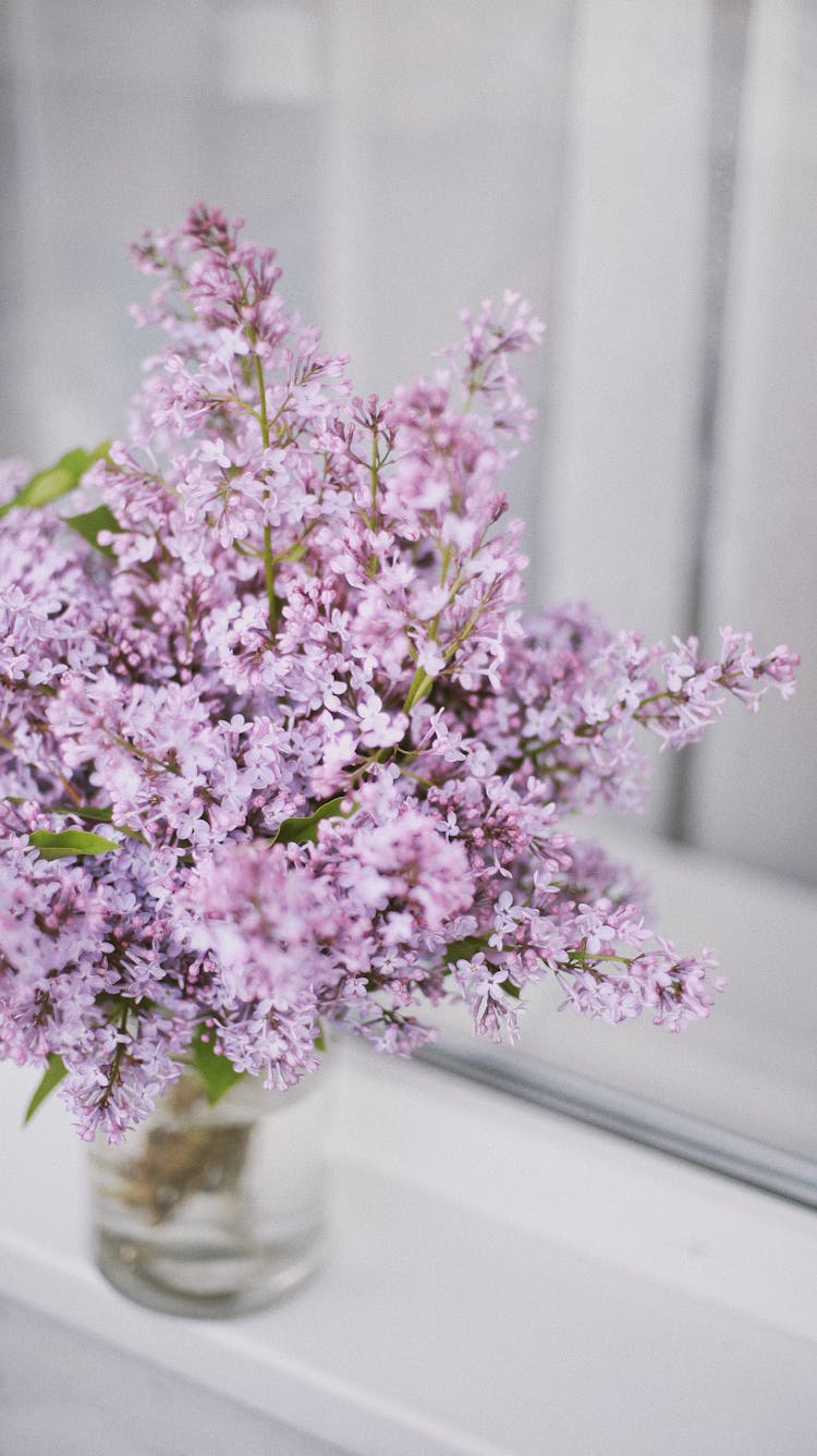 Purple Flowers In Glass