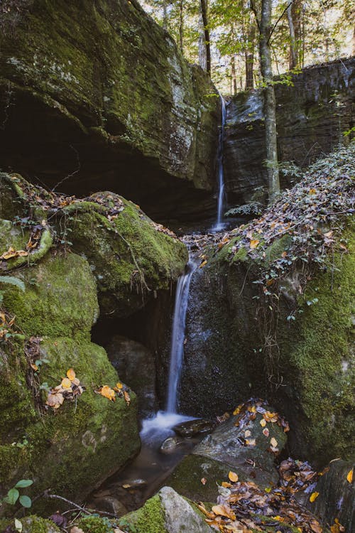 Бесплатное стоковое фото с вертикальный выстрел, водопад, зеленый мох