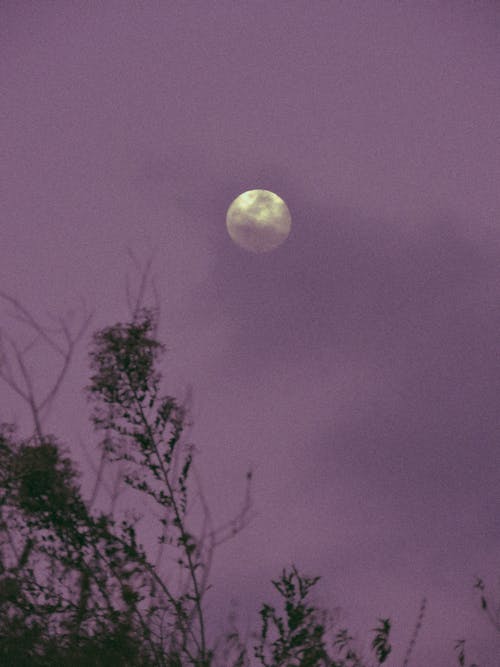 A Full Moon Across the Purply Sky 