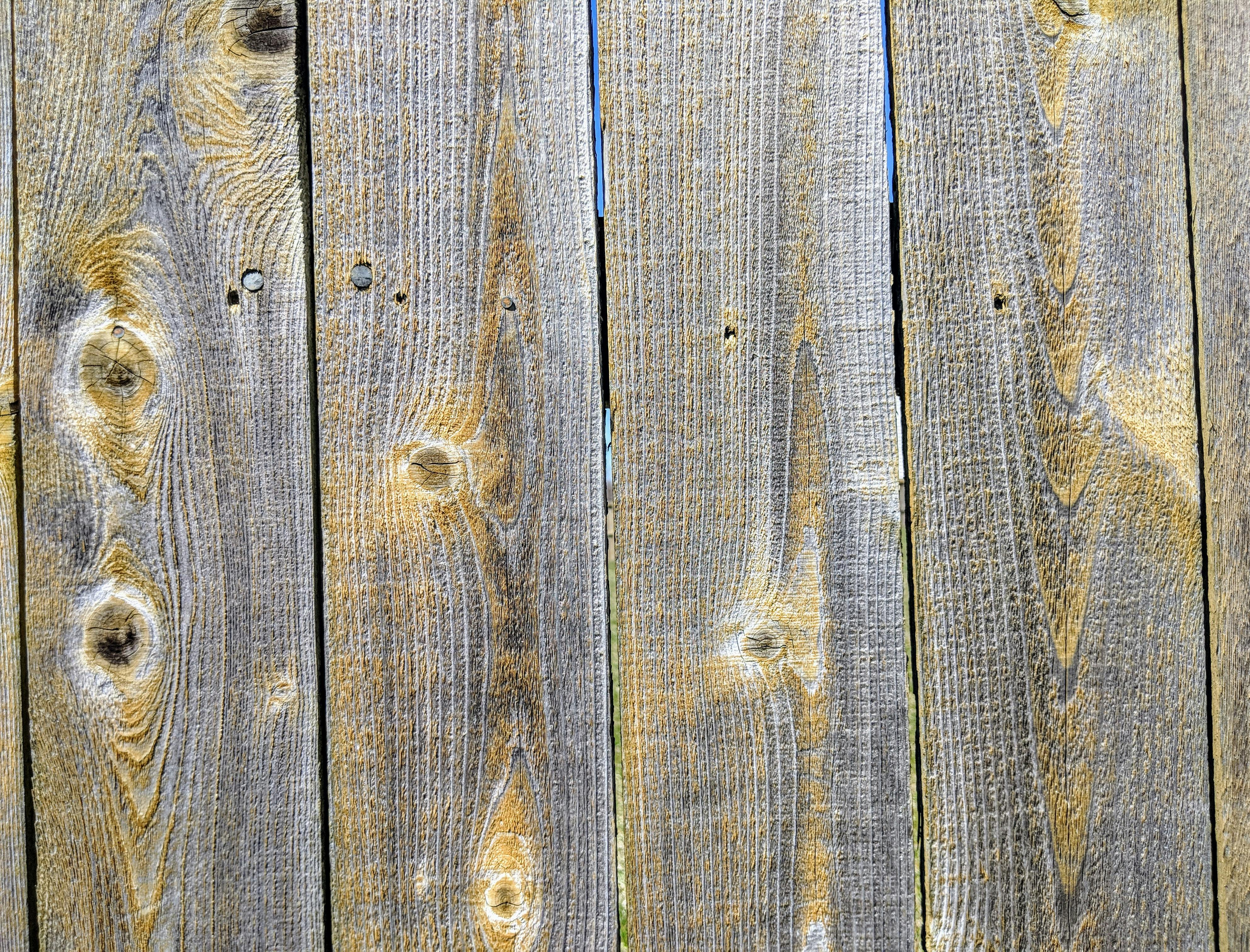 Free stock photo of fence, fence background, wood background