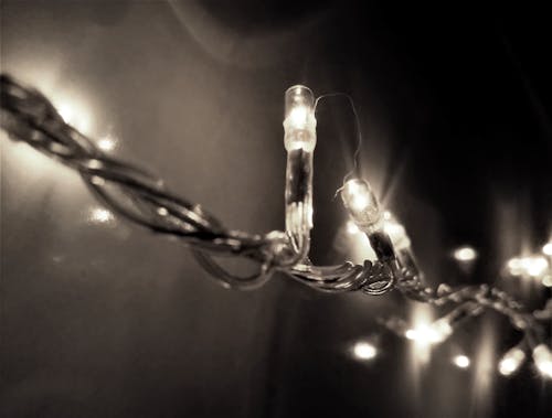 Free Selective Focus Photography of String Light Stock Photo