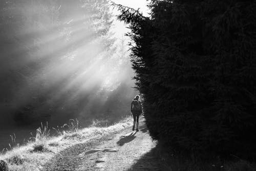 Black and White Photography of a Woman Hiking in the Forest 