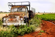 一辆废弃的乡村拖拉机停放在郁郁葱葱的农场绿植中，展现了腐烂与自然侵蚀的痕迹