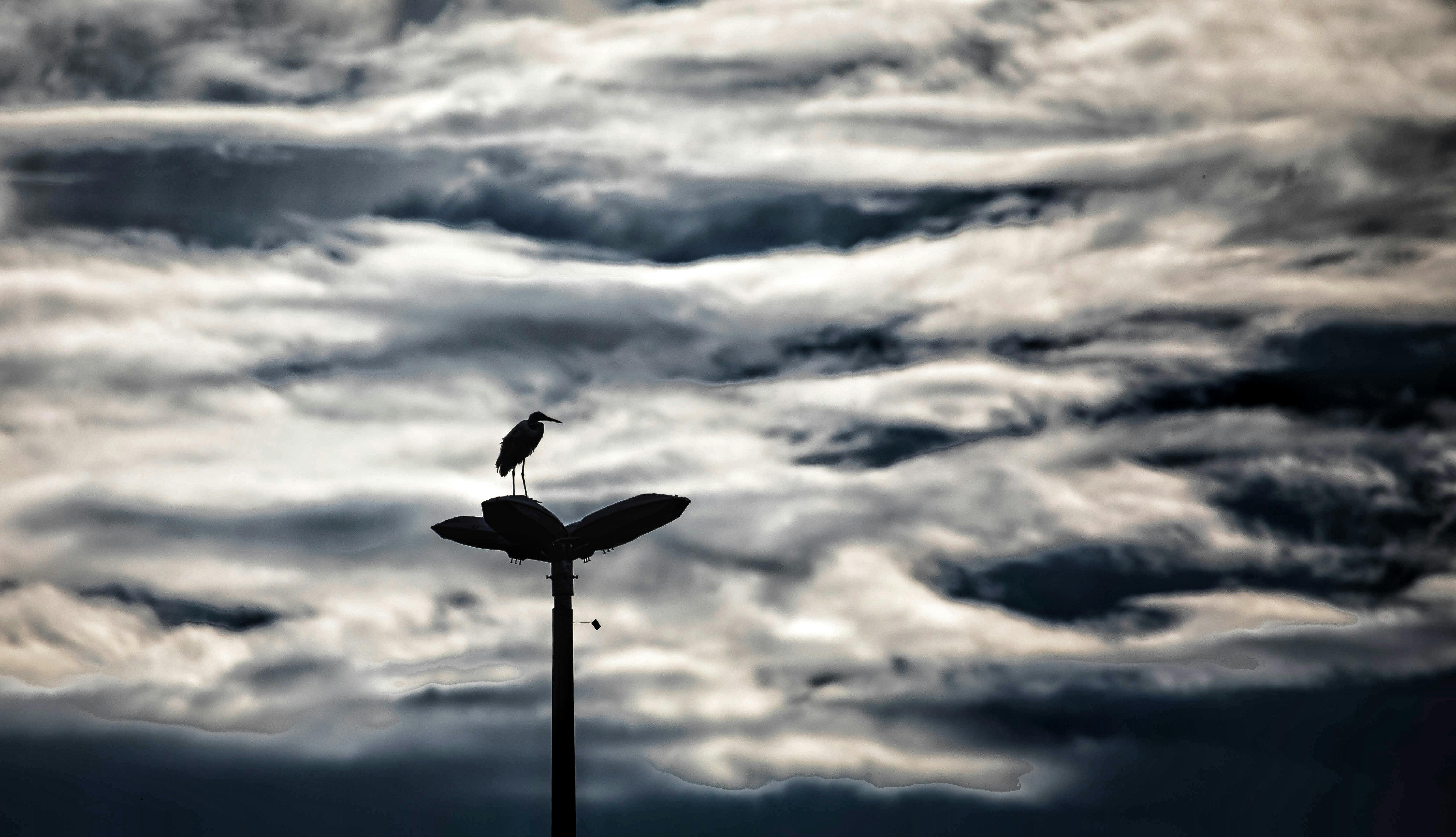 Disassembled laptop with visible circuit board and components on a desk