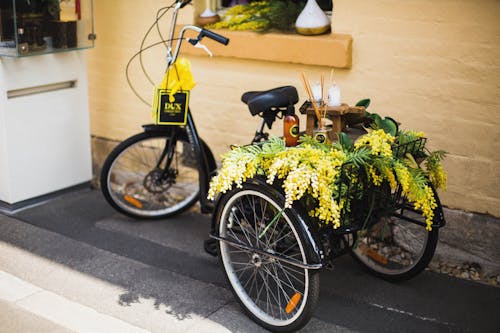 Tricycle with Flowers in Basket