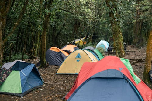 Foto profissional grátis de abrigos, acampamento, área de camping