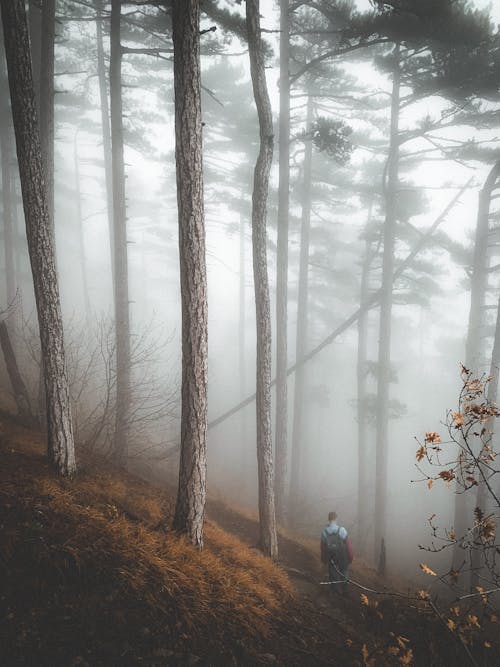 Man Walking Down a Hill