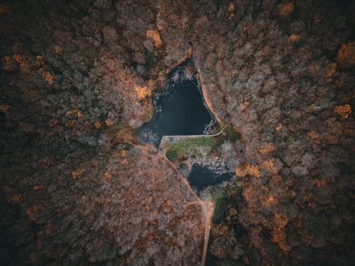 Lake Among Trees in Overhead View