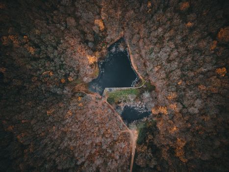 Drone shot of a serene autumn forest surrounding a tranquil waterbody in İstanbul, Türkiye.