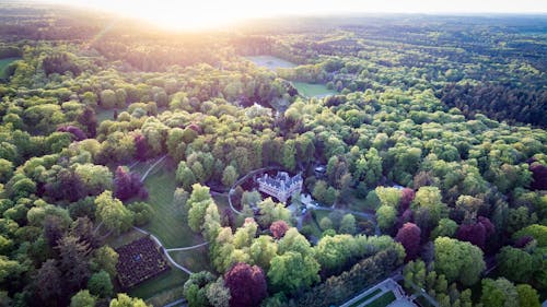 Photos gratuites de apeldoorn, château, het loo