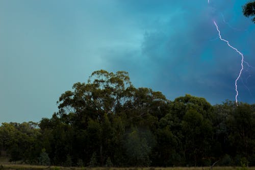 Photos gratuites de arbres, coup de foudre, éclair