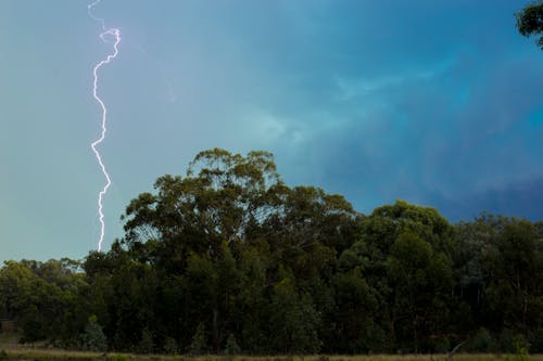 Free stock photo of cloud, lightning, lightning strike Stock Photo